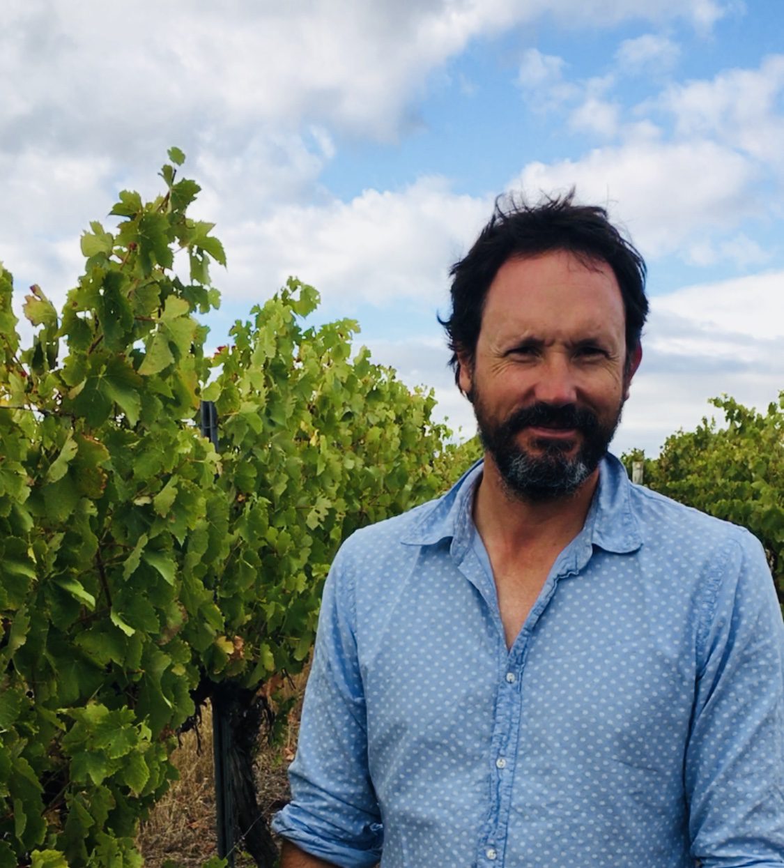 Rob Mann joins Swinney Wines in WA as senior winemaker - WBM Online