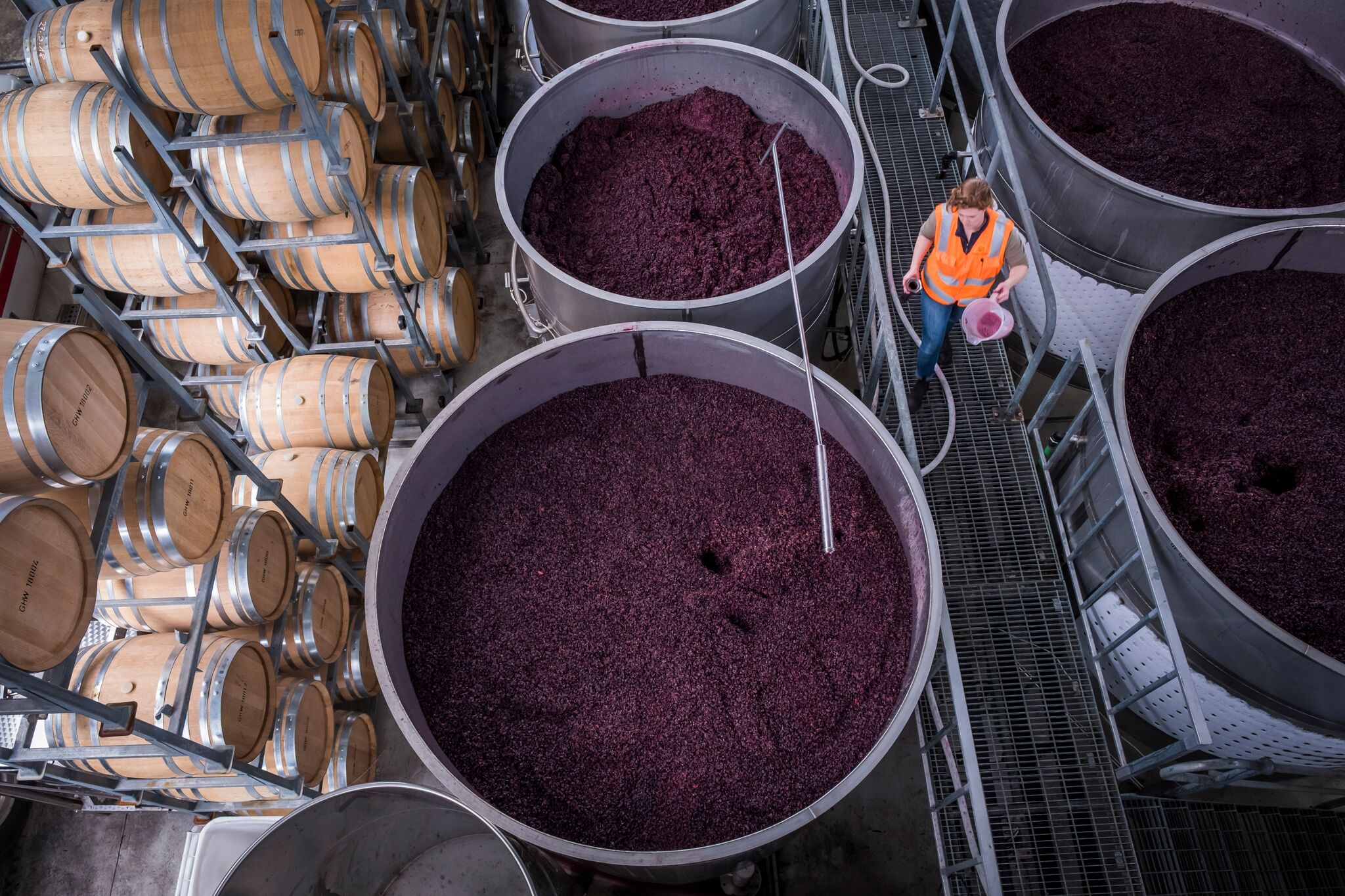 Производство вина из винограда. Технология бродильных производств и виноделие. Сырье виноделия. Производство вина. Винная промышленность.