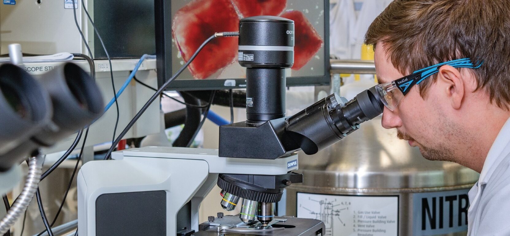 (AWRI) Australian Wine research Institute