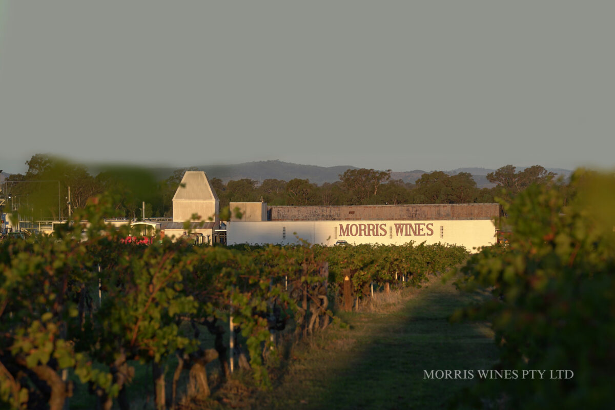 MORRIS WINES PTY LTD